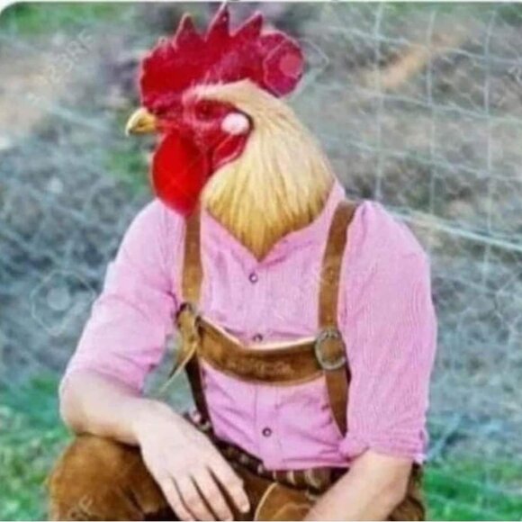 Meet your Posher, Summer - Picture 1 of 1